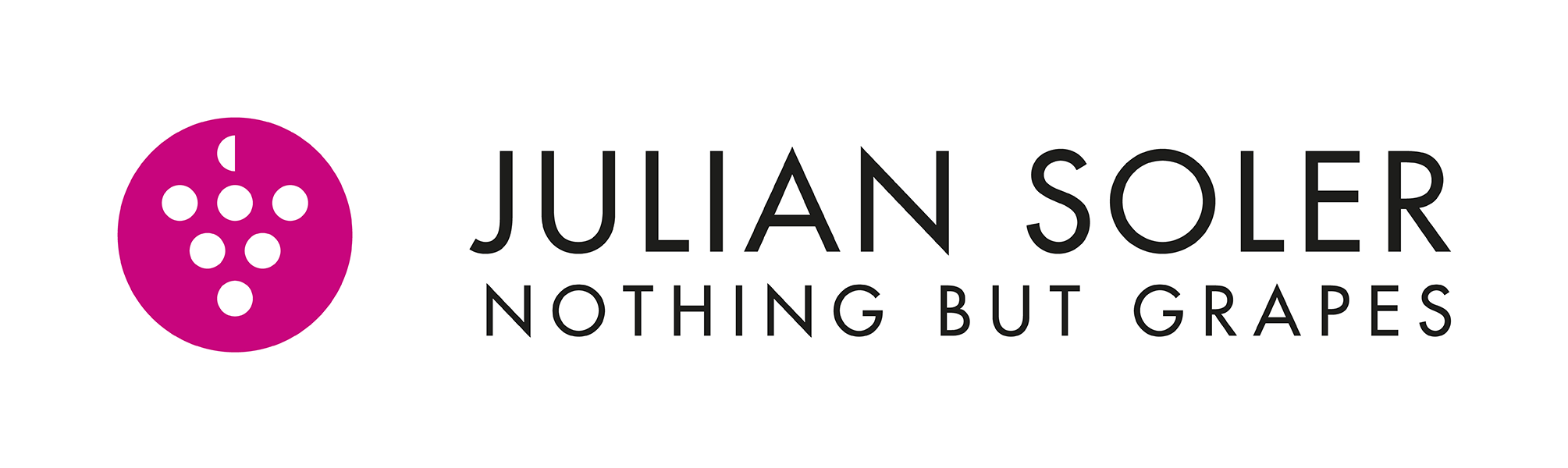 Julián Soler